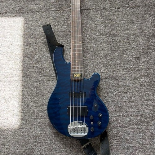 Basse électrique cordes - basse, 5