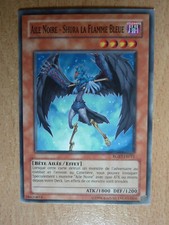 Carte Yu Gi Oh ! Aile noire - Shura la flamme bleue RGBT-FR011