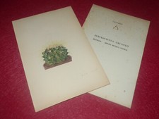 BOTANICAL ROCK PLANTS & CACTUS