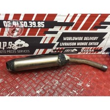 Silencieux Triumph Tiger 800