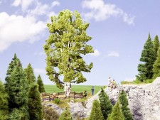 Noch 21641 Tous Échelles