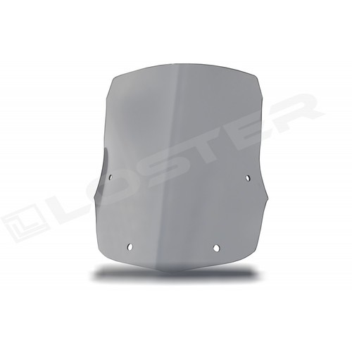Pare brise touring - touring, pour
