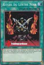 ♦Yu-Gi-Oh!♦ [SD] Rituel du