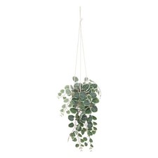 Plante suspendue pot lour - suspendue, "lour"