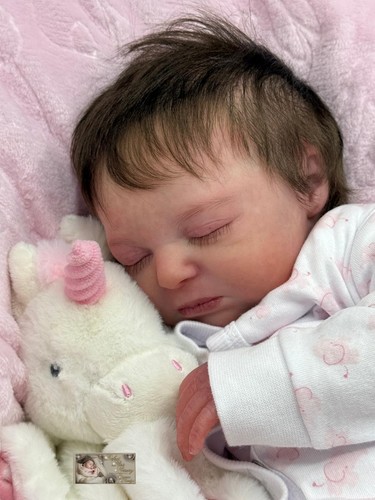 Pbn bargain reborn - pbn***, baby