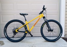 Santa Cruz Chameleon, D-spec