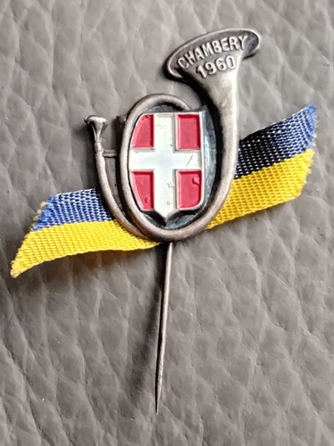 Insigne amicale chambéry - amicale,