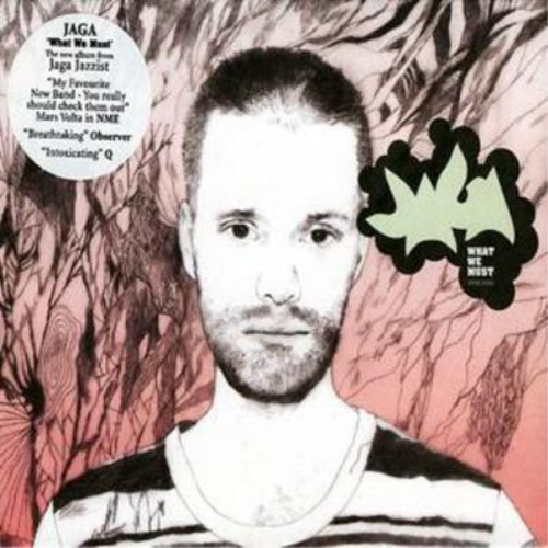Jaga jazzist what - we, (cd)