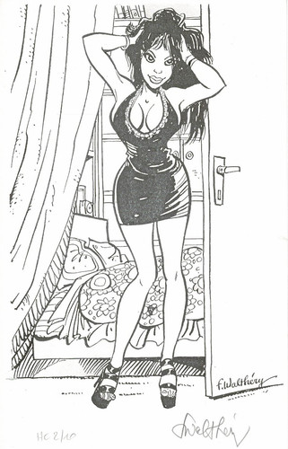 Libris walthéry natacha - walthéry,