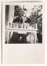 Femme trois chiots identiques, petits chiens - Photo vintage snapshot 1950