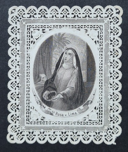 Sainte rose lima canivet - sainte,