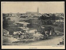 1922  --  ATTELAGE DE BOEUFS