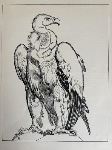 Paul jouve gravure - gravure, deco