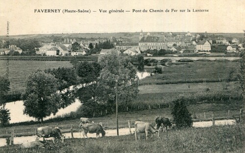 Carte faverney vue générale - carte,