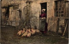 CPA Une ferme BRESSANE