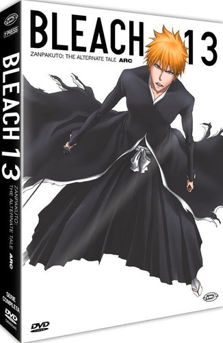 Bleach arc zanpakuto - bleach, 13: