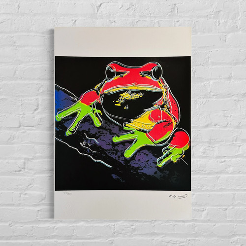Andy warhol grenouille - andy,