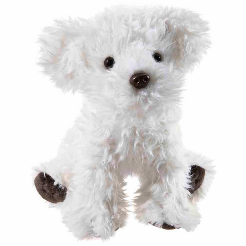 Heunec misanimo maltese bichon - maltese,