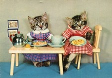 Carte de Chats Chatons humanisé Le chat à table est habillé