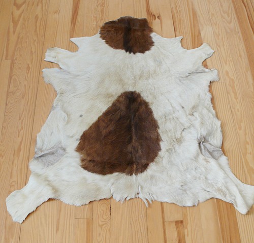 Peau chevre naturel vintage - peau,