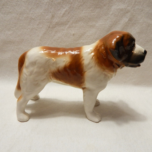 Saint bernard dog sylva c - dog,
