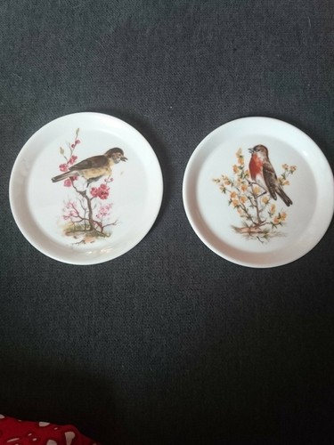 Sous verre porcelaine oiseau - 2,