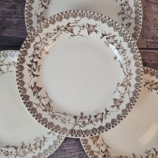 Assiettes Plates Décor