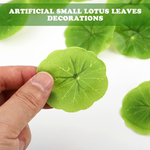Pcs feuilles lotus - feuilles,