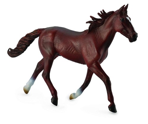 Modèle cheval étalon - modèle,