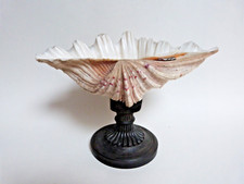 coquillage bénitier sur socle