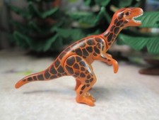 Vélociraptor orange dinosaure