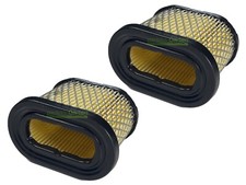 2 X Filtre à Air MTD 214IP