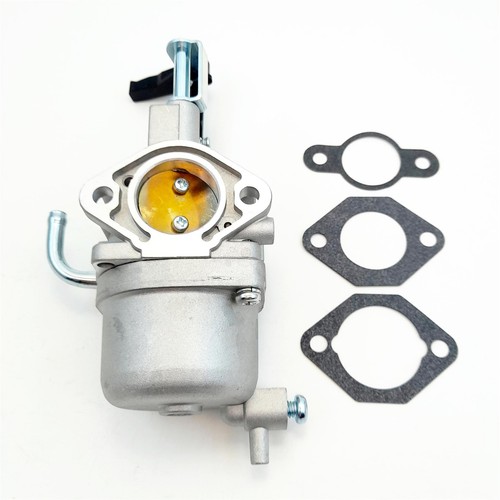 Carburateur pour moteur