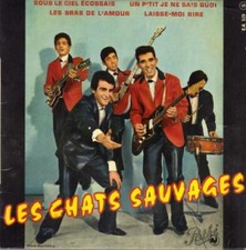 Les Chats Sauvages Sous Le
