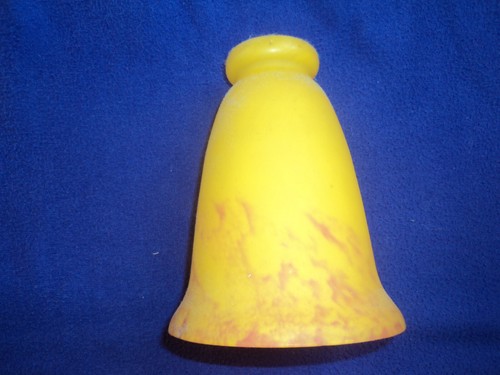 Ancienne tulipe pate de - tulipe ,