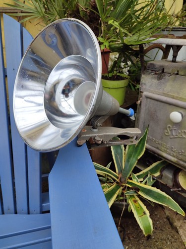Spot pince lita modele 61 - pince,