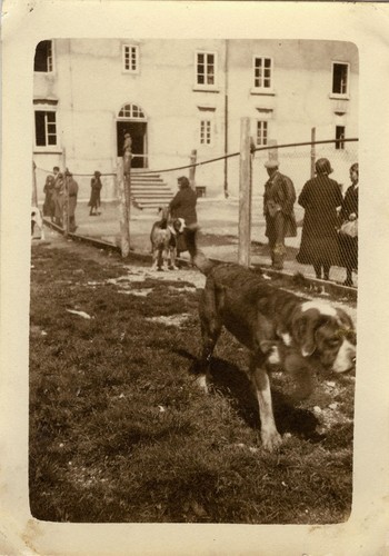 Photo ancienne vintage - photo,
