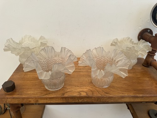 Lot tulipes ancienne - 4,