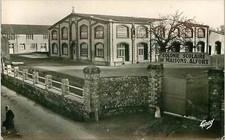 50.GOUVILLE SUR MER.COLONIE DE MAISONS ALFORT.CPSM