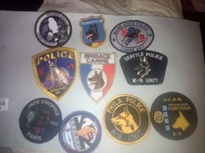 Lot 10 Patchs Cynophile de