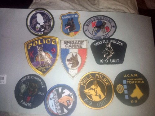 Lot patchs cynophile de - 10,