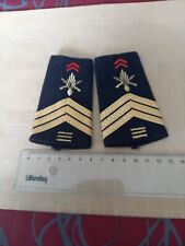 PAIRE DE FOURREAUX.  Sergent Chef +15 Ans. Infanterie 