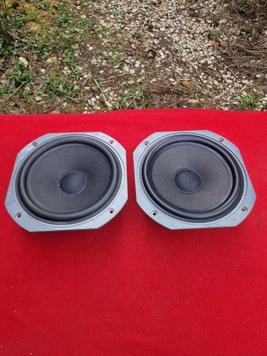 Rare paire boomers focal - de,