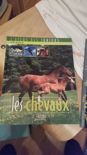 Atlas des juniors les - l'atlas,