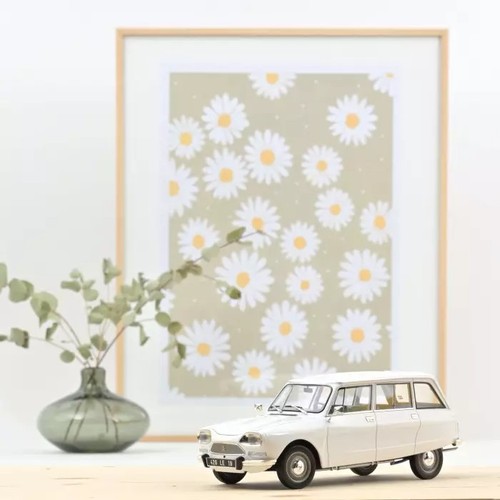 Citroën ami break 1975 - ami,