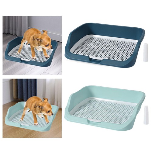 Tapis dressage - tapis, de