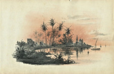 Egypte ,  Delta du Nil -