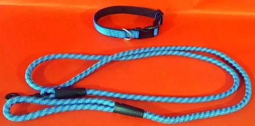 Laisse collier pour - laisse, chien