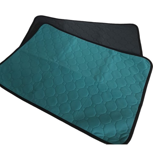Tapis éducateur lavable et - 2,