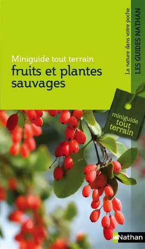 Fruits plantes sauvages - plantes,